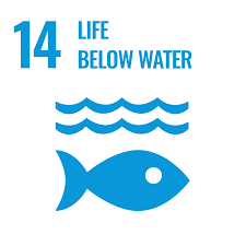 6. Clean Water and Sanitation